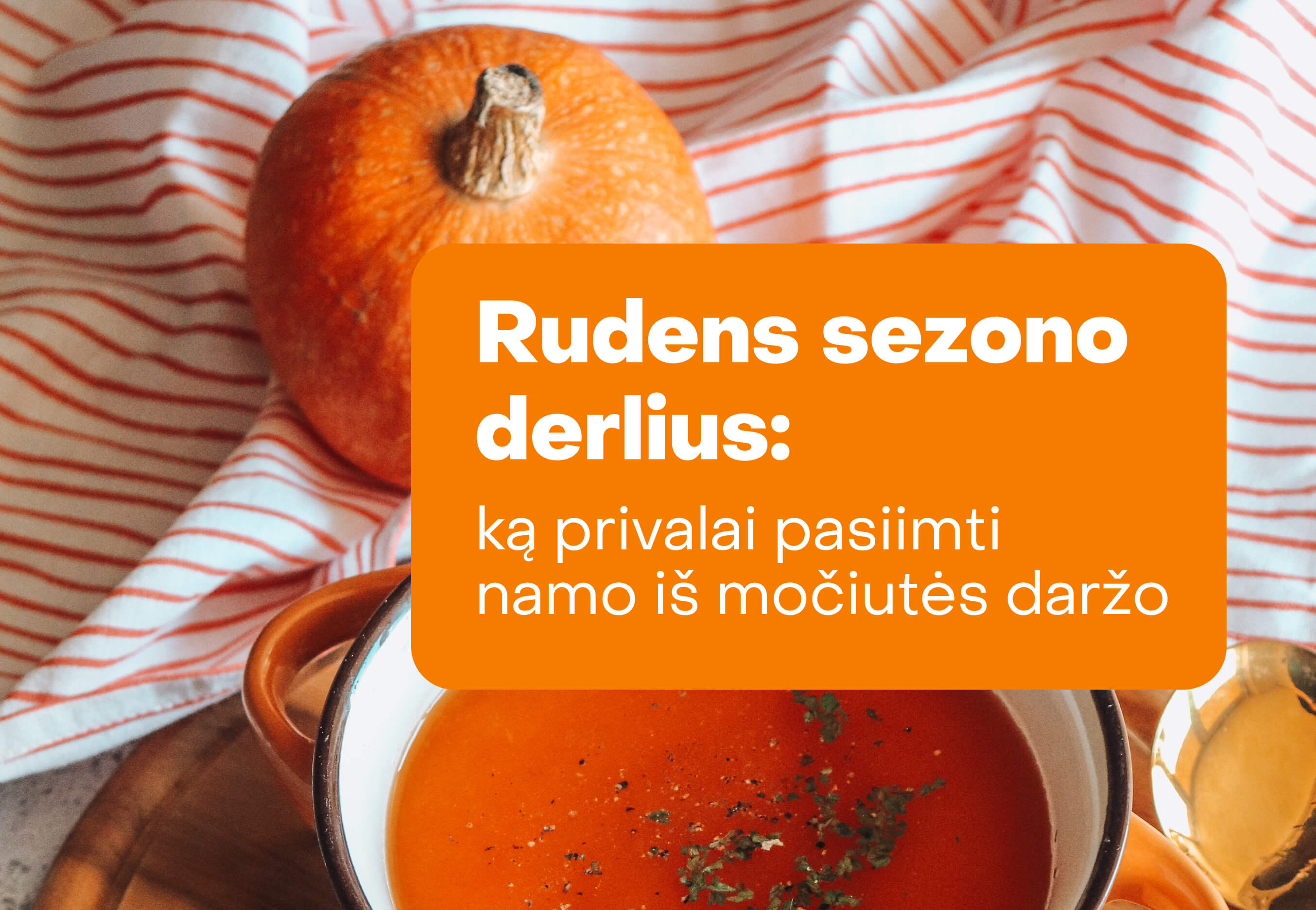 Rudens sezono derlius: ką privalai pasiimti namo iš močiutės daržo